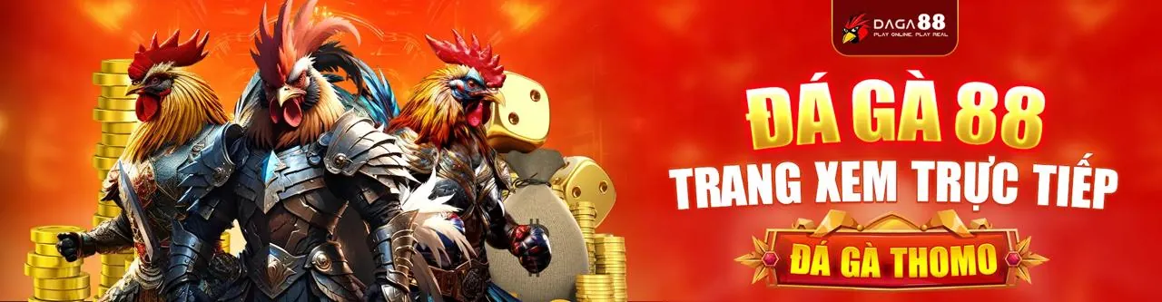 Lợi ích khi tham gia hoàn trả hàng ngày tại 3king